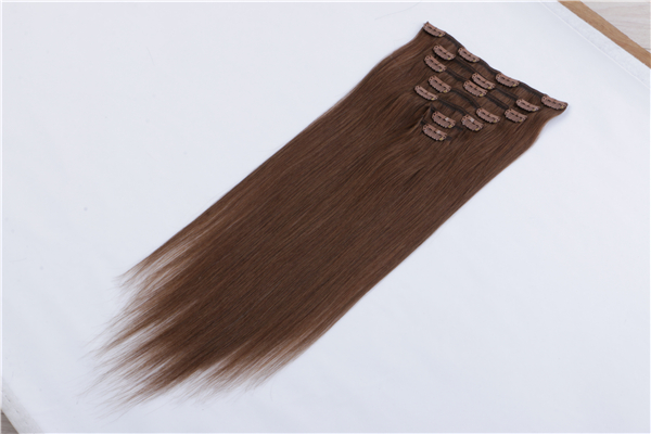 Clip in Hair Extensions Double Weft  Remy Human Hair Grade  Thick Long Soft Silky Straight YL339